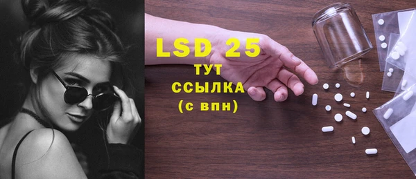 гашик Болохово