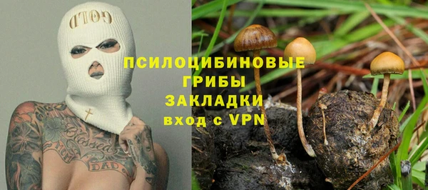 таблы Белокуриха